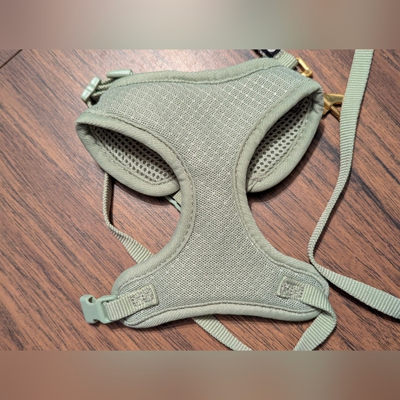 Cat or small dog harness and leash - Picture 4 of 8
